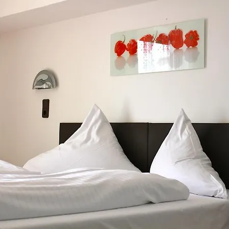 Han/Misafirhane Oelberg